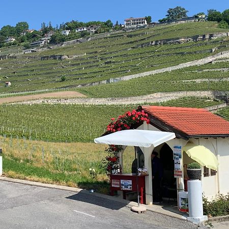 La Gremillette Gourmande Lavaux Rivaz Exterior foto