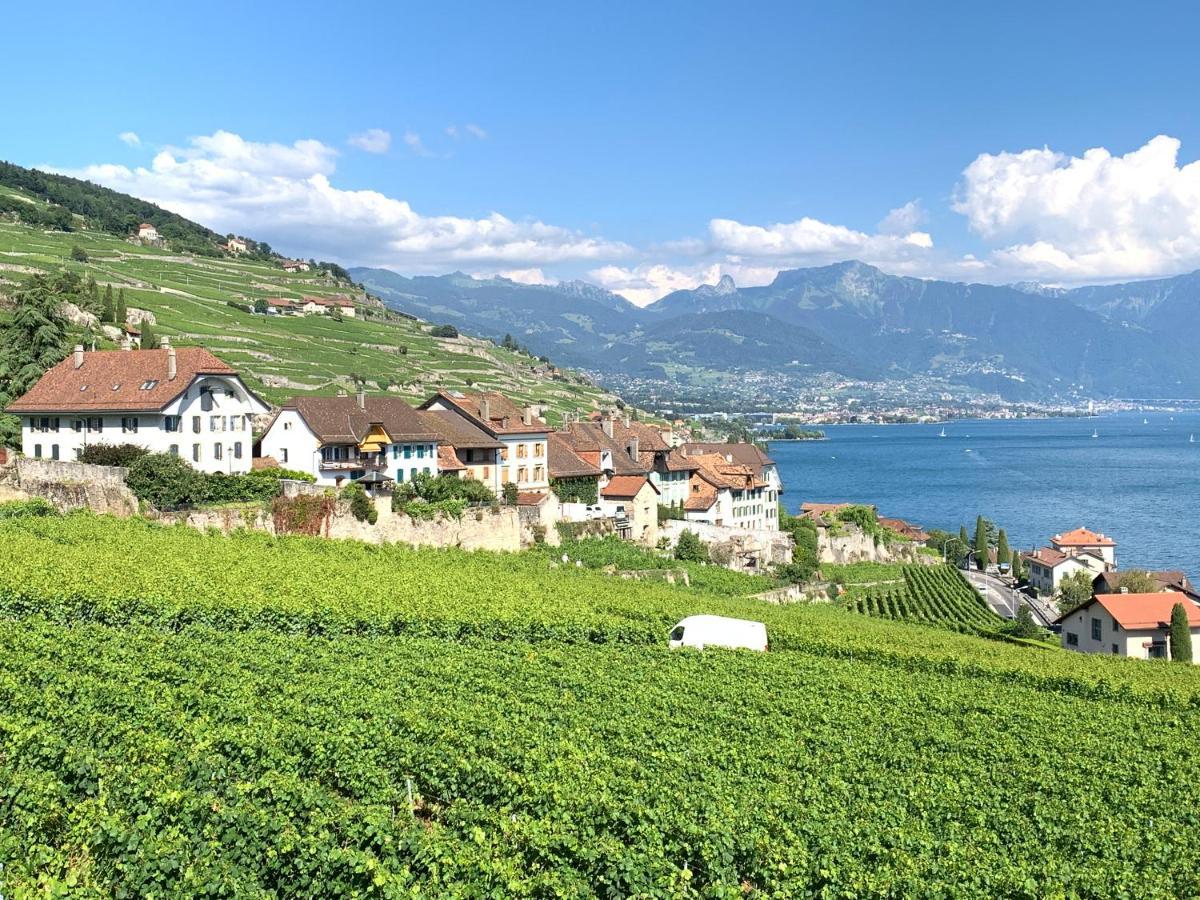 La Gremillette Gourmande Lavaux Rivaz Exterior foto