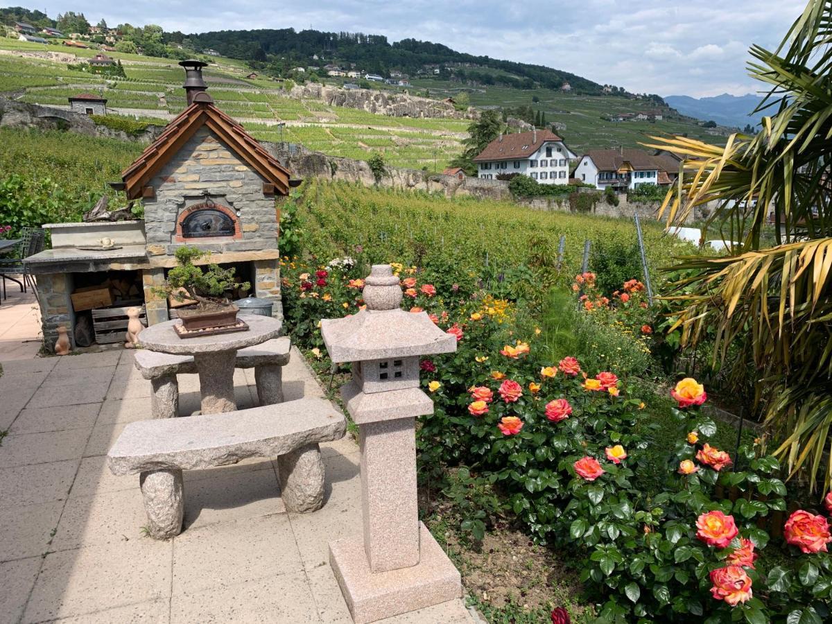 La Gremillette Gourmande Lavaux Rivaz Exterior foto