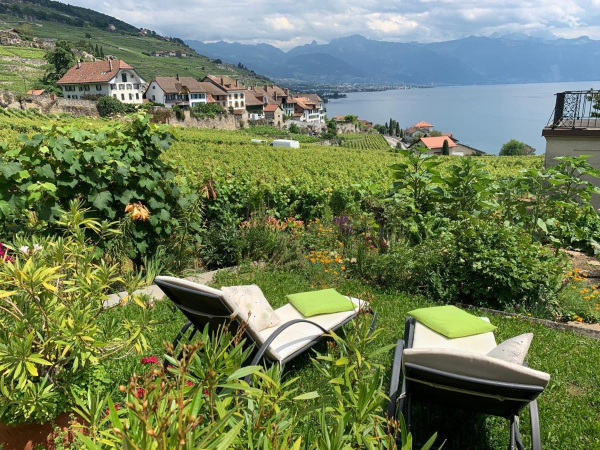 La Gremillette Gourmande Lavaux Rivaz Exterior foto