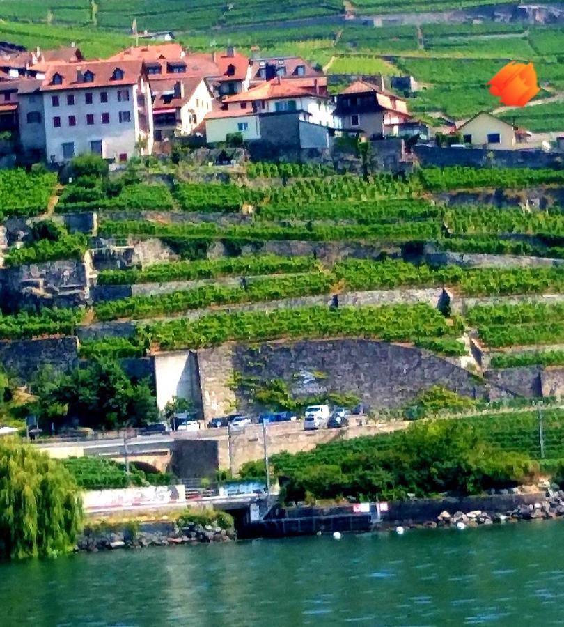 La Gremillette Gourmande Lavaux Rivaz Exterior foto