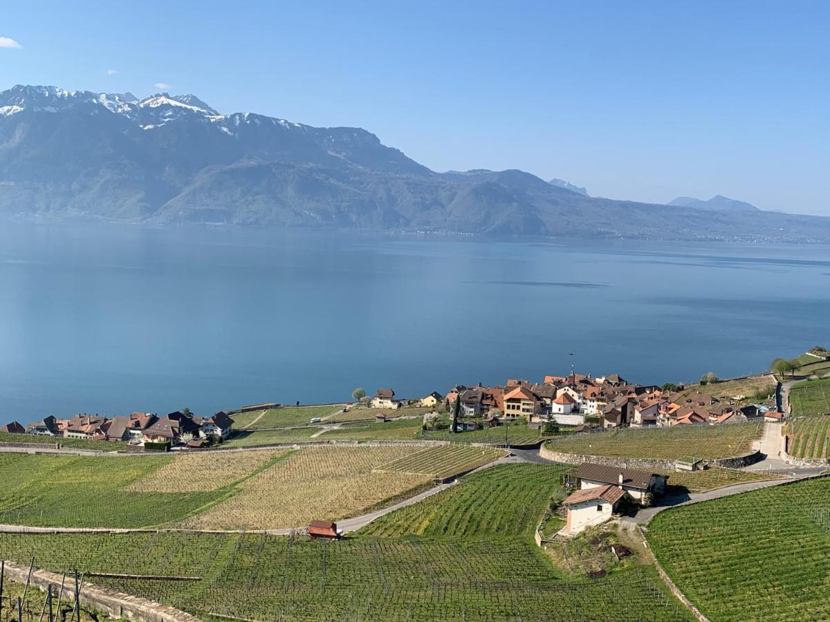 La Gremillette Gourmande Lavaux Rivaz Exterior foto