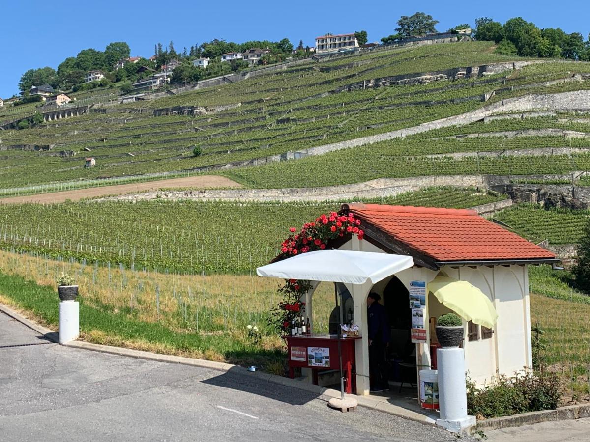 La Gremillette Gourmande Lavaux Rivaz Exterior foto