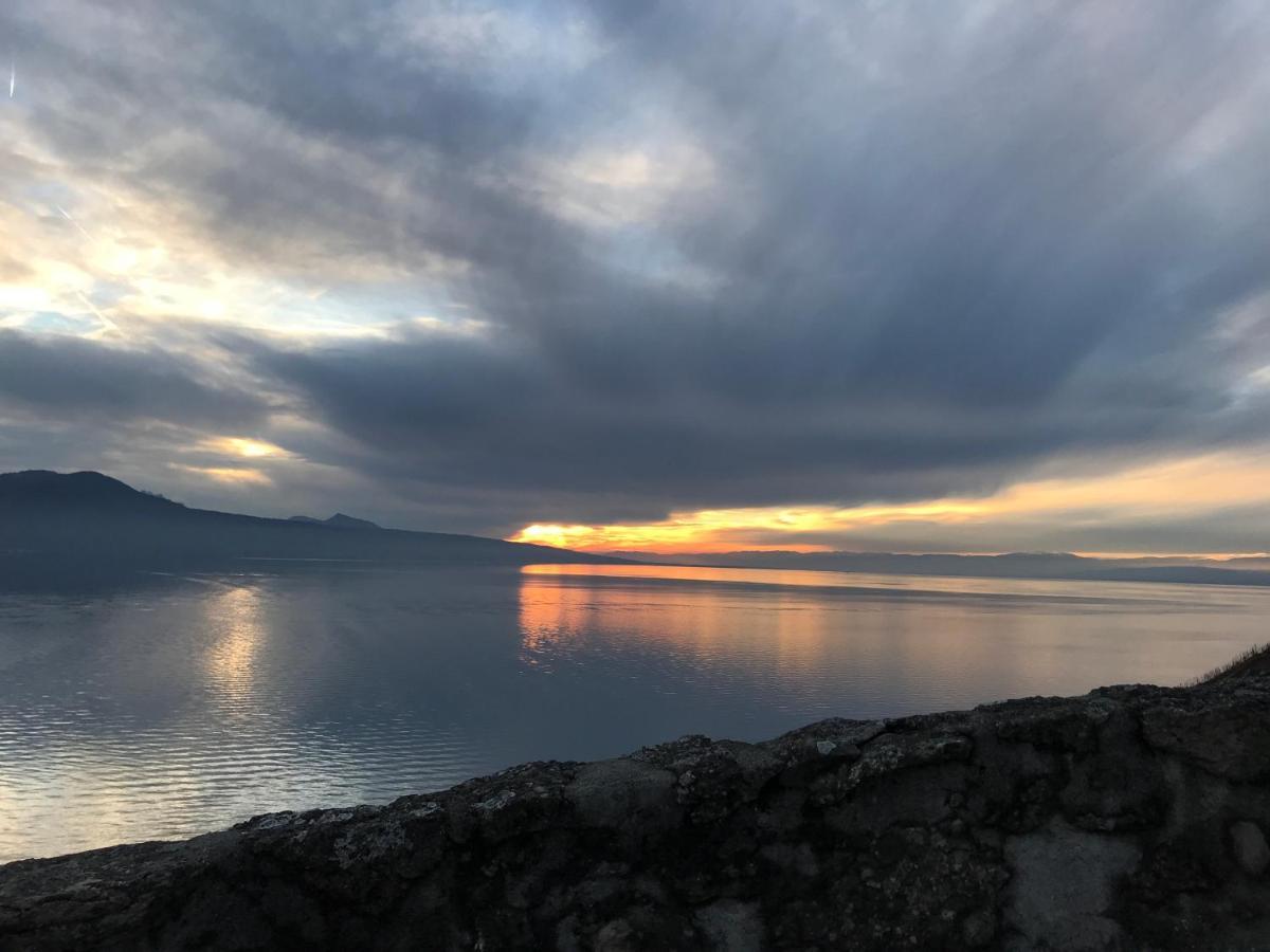 La Gremillette Gourmande Lavaux Rivaz Exterior foto