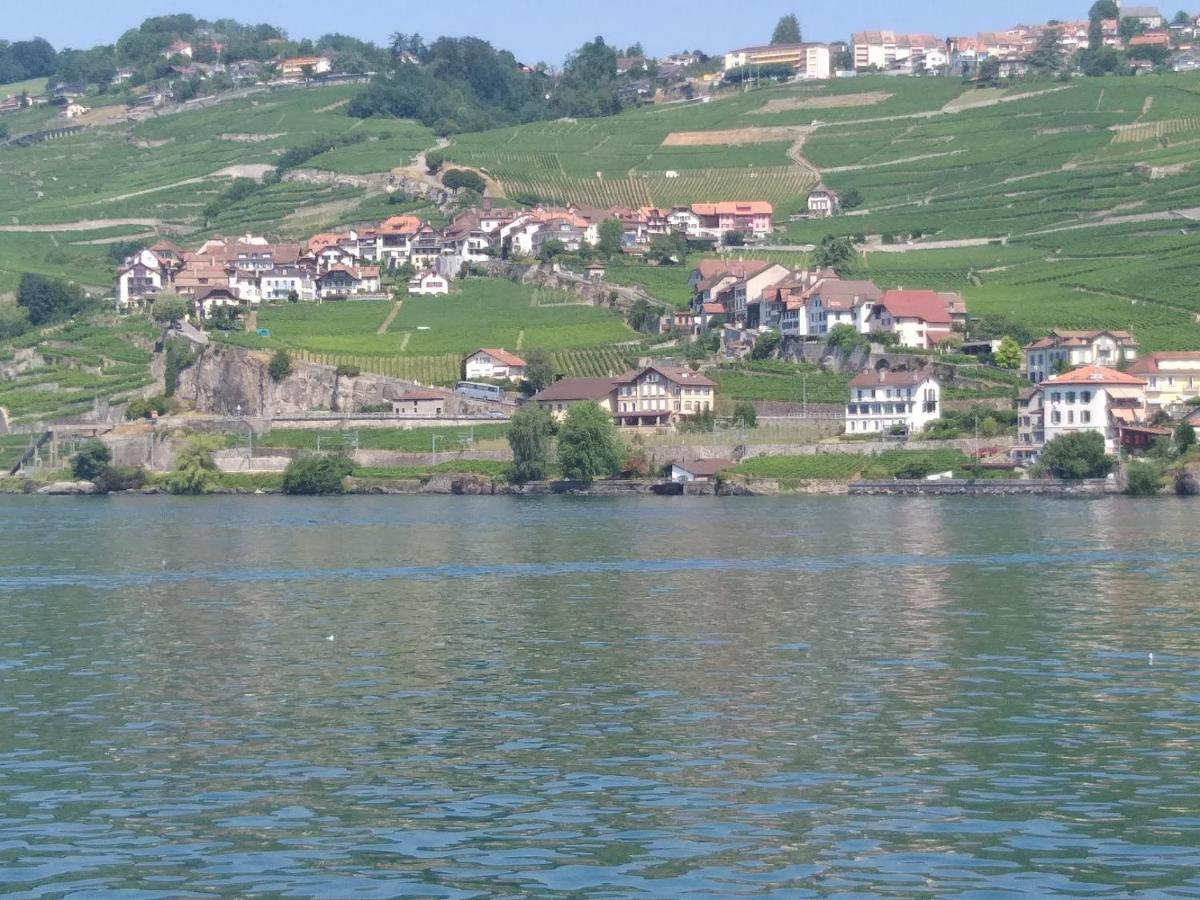 La Gremillette Gourmande Lavaux Rivaz Exterior foto