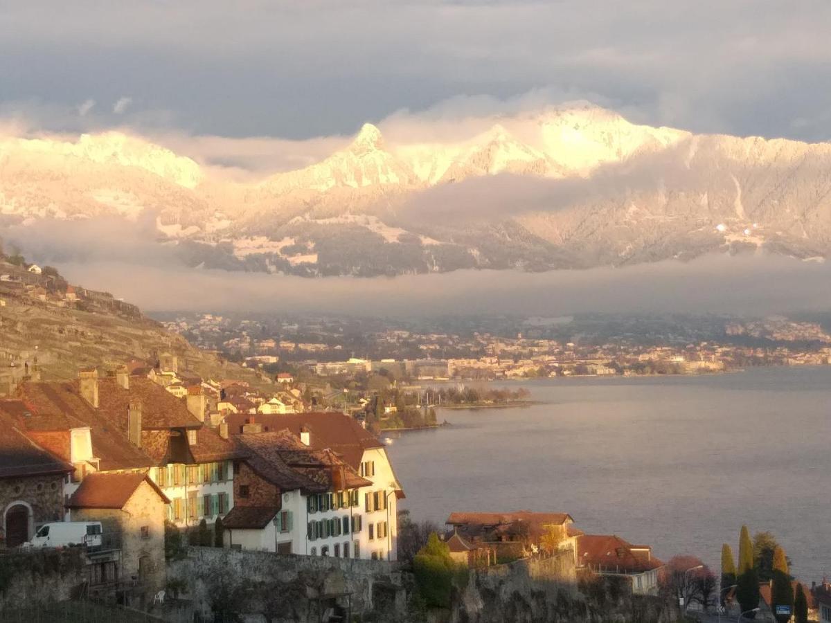 La Gremillette Gourmande Lavaux Rivaz Exterior foto