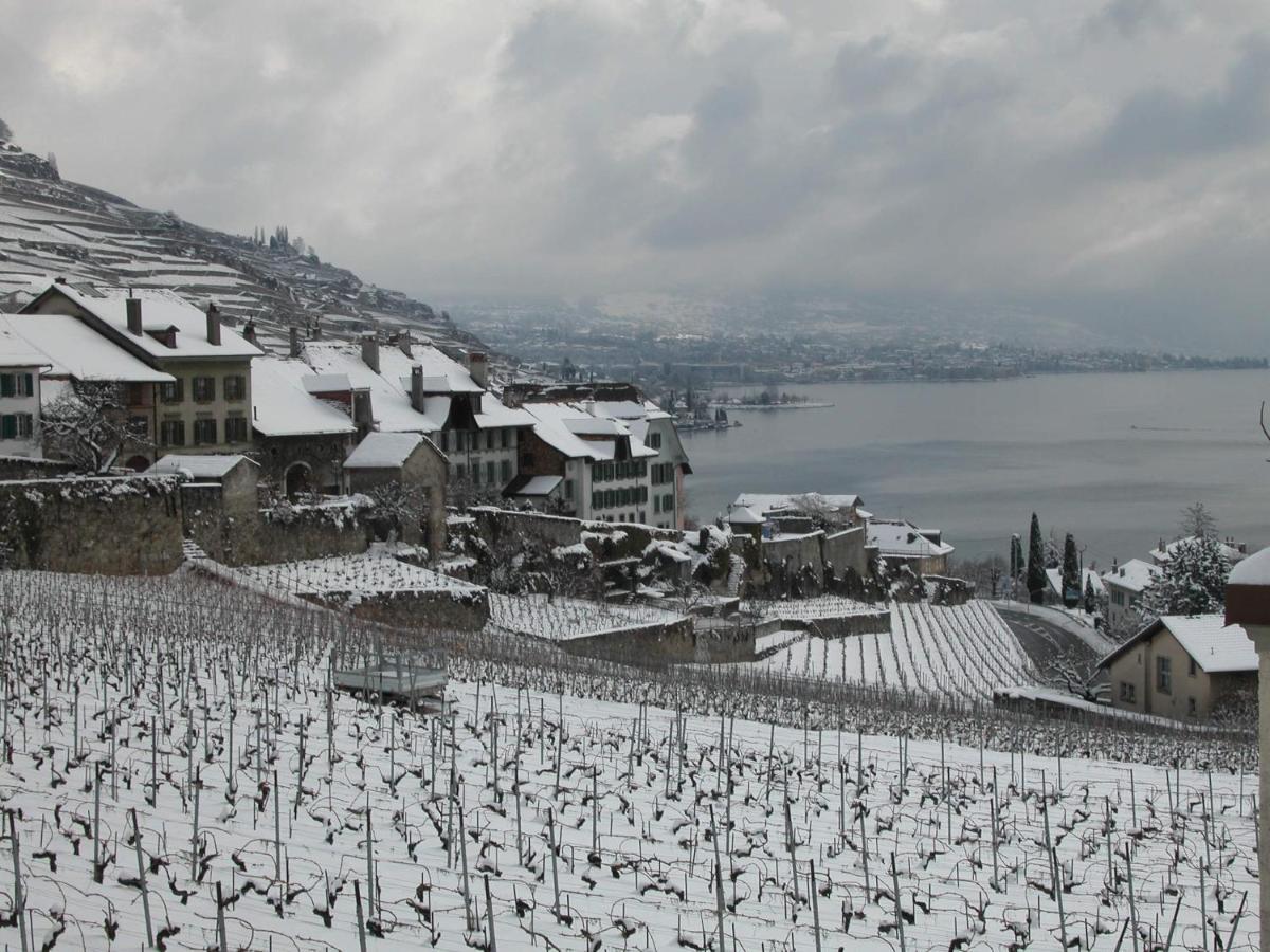 La Gremillette Gourmande Lavaux Rivaz Exterior foto